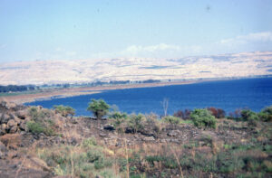 2-Mündung des Jordan-Juli 1994-39021